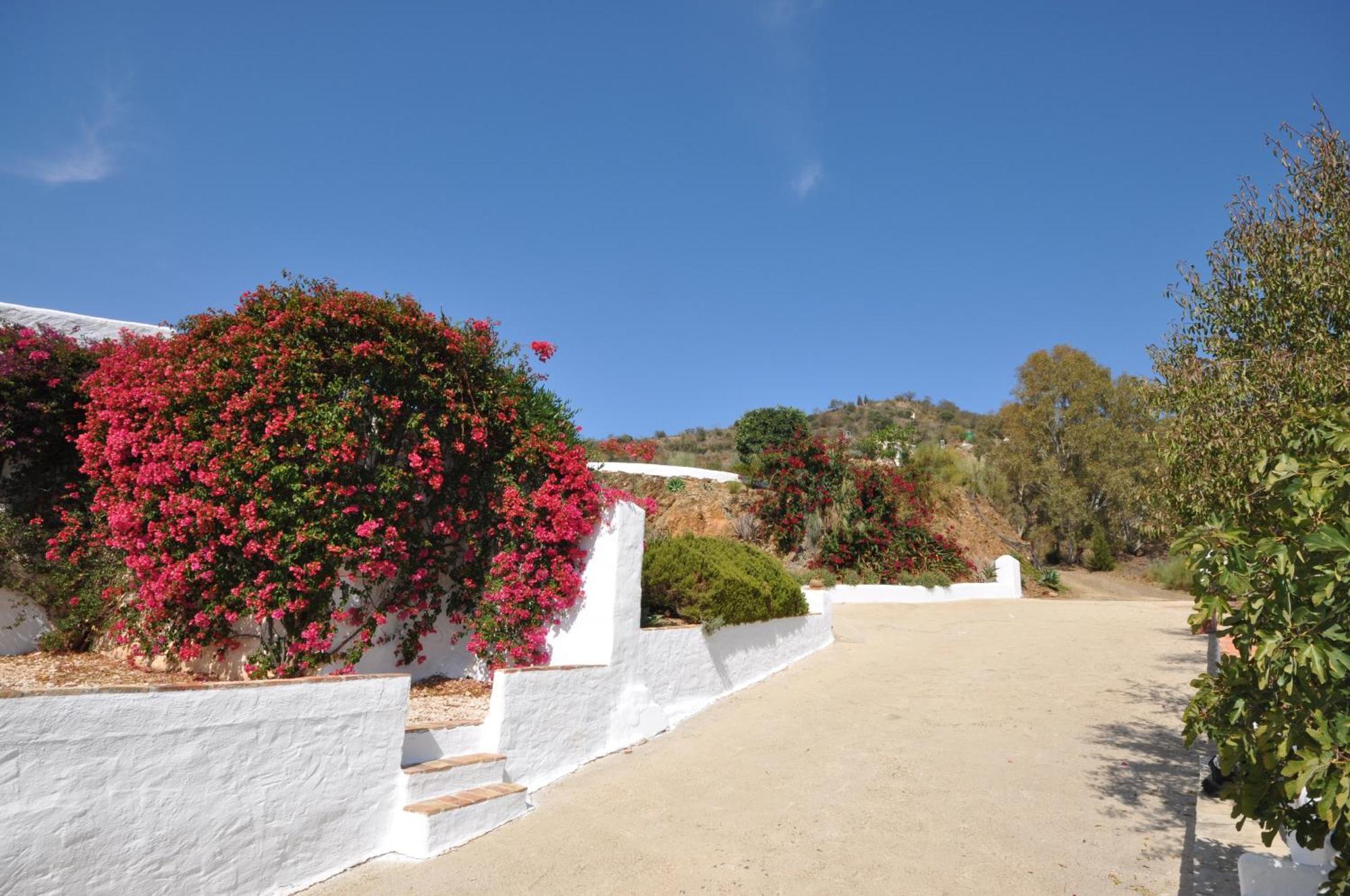 Cortijo J&S Juan Salvador Villa - Malaga — Photos 2